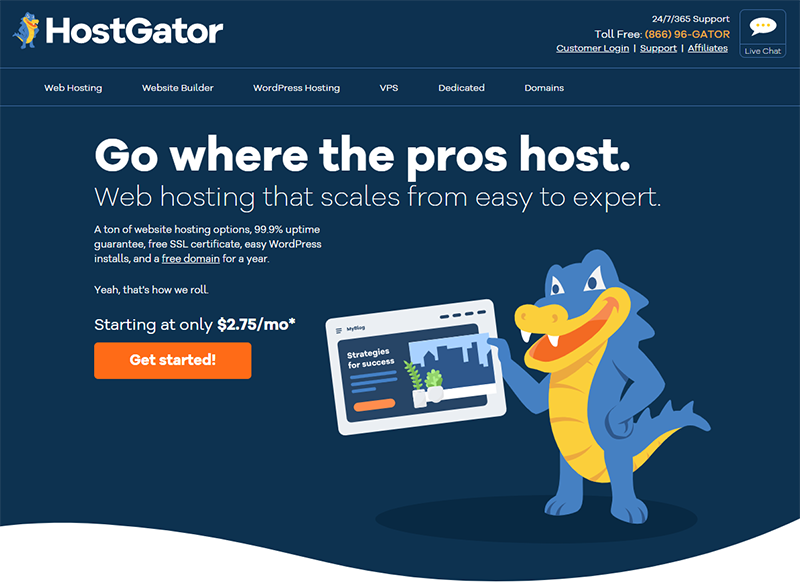 Website hosting