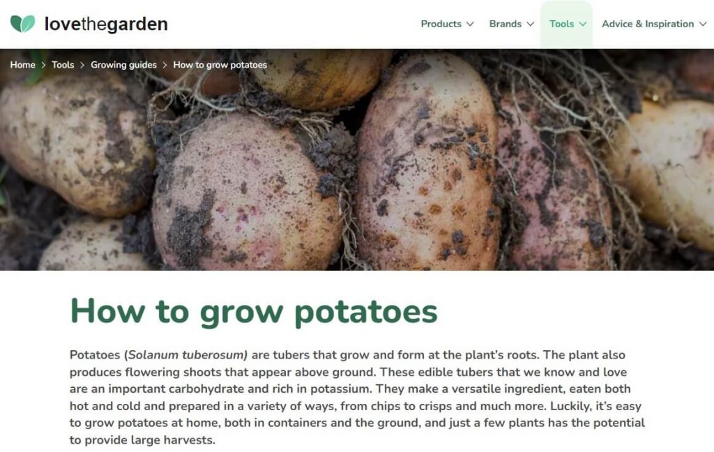 how to grow potatoes blog